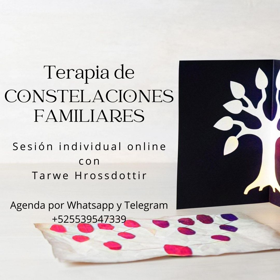 terapia de constelaciones familiares online individual