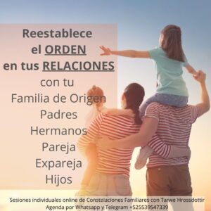 terapia de constelaciones familiares online individual