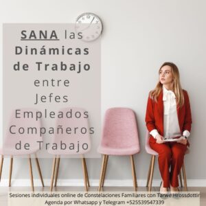 terapia de constelaciones familiares online individual