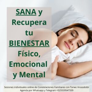 terapia de constelaciones familiares online individual